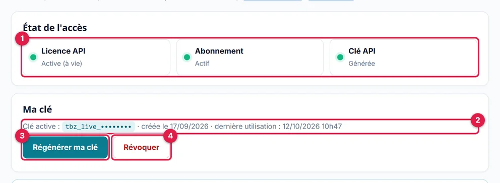 La page Ma clé API : l'état de l'accès et la clé