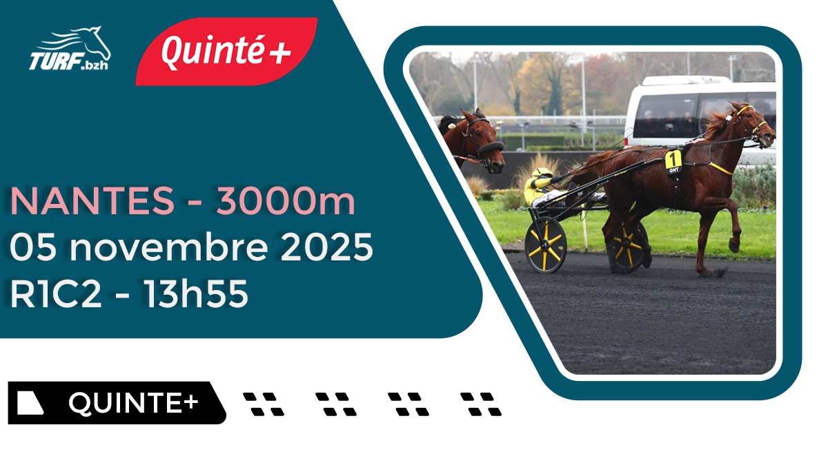 Pronostic Quinté du 5 novembre 2025