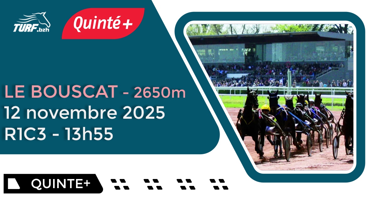 Pronostic Quinté du 12 novembre 2025