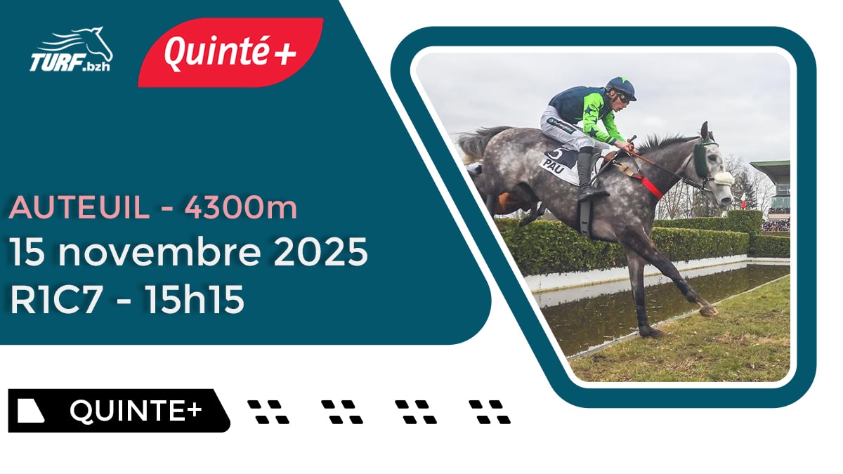 Pronostic Quinté du 15 novembre 2025