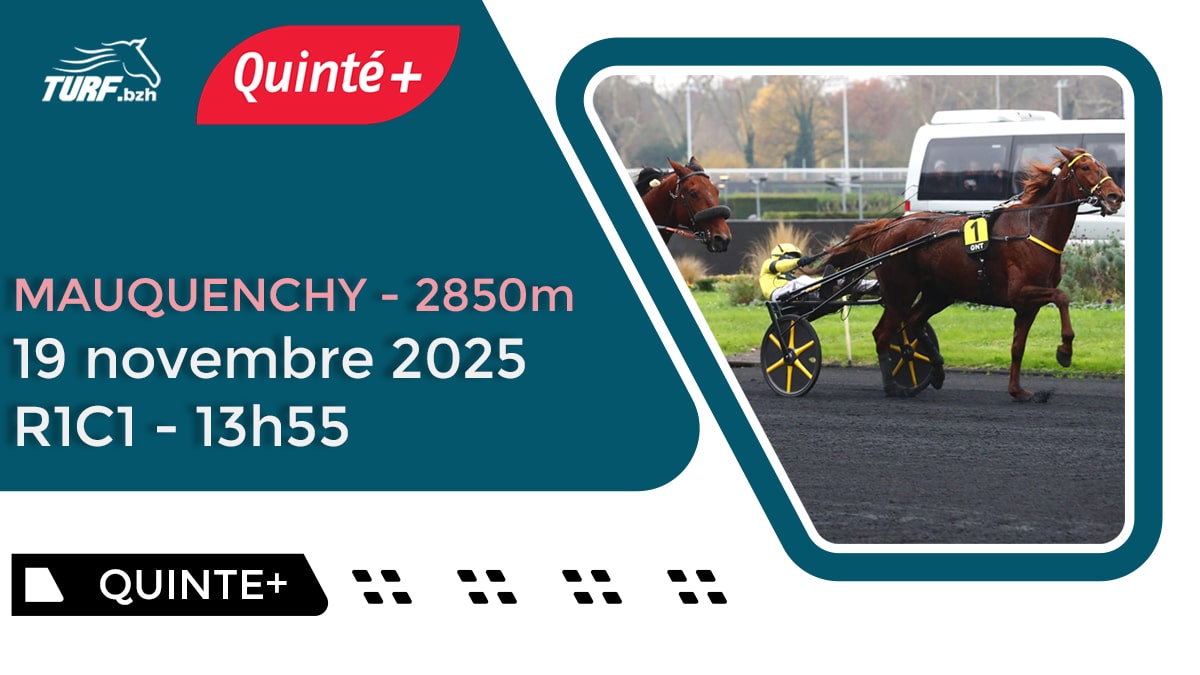 Pronostic Quinté du 19 novembre 2025