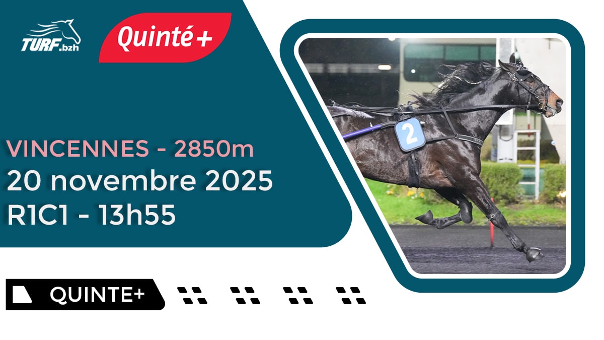 Pronostic Quinté du 20 novembre 2025