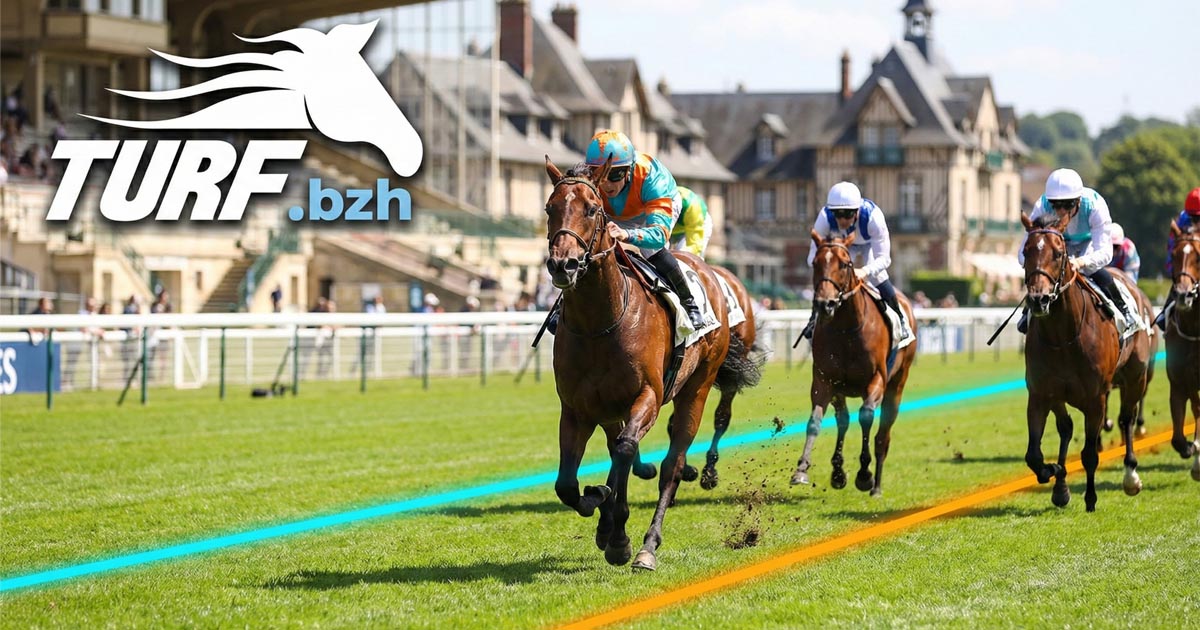 Pronostic Quinté du 25 novembre 2025