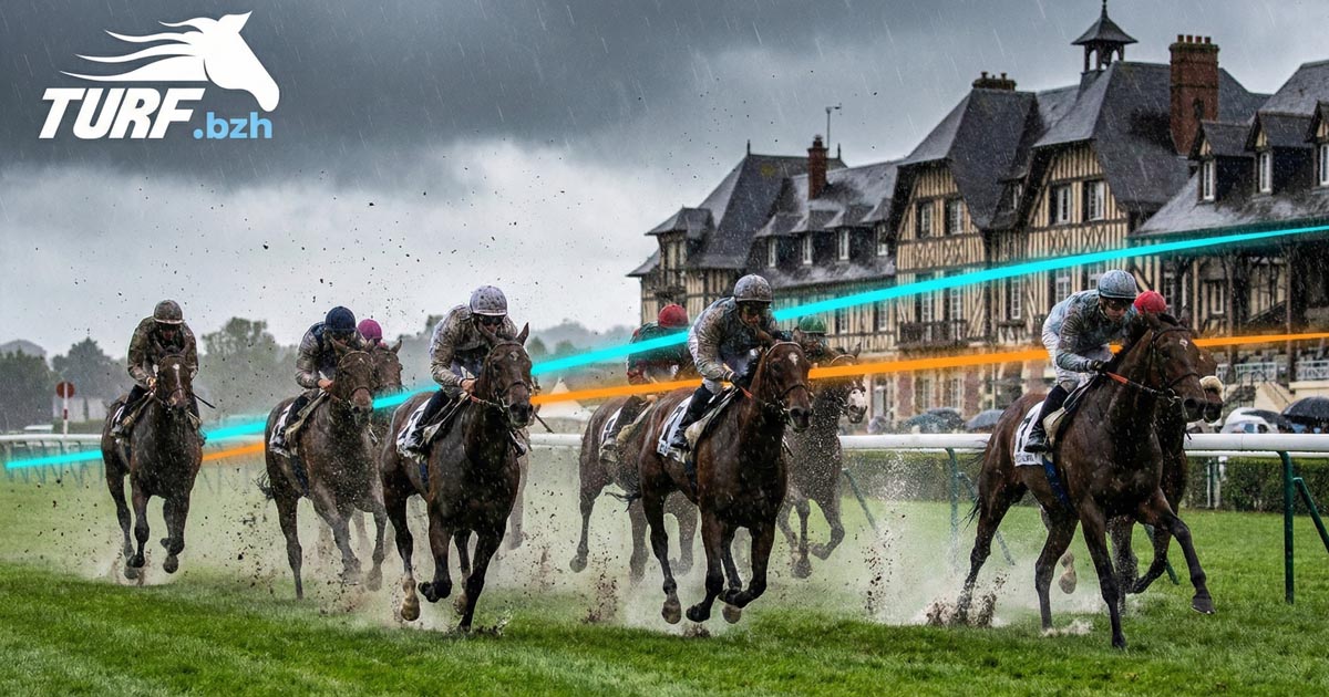 Pronostic Quinté du 26 novembre 2025