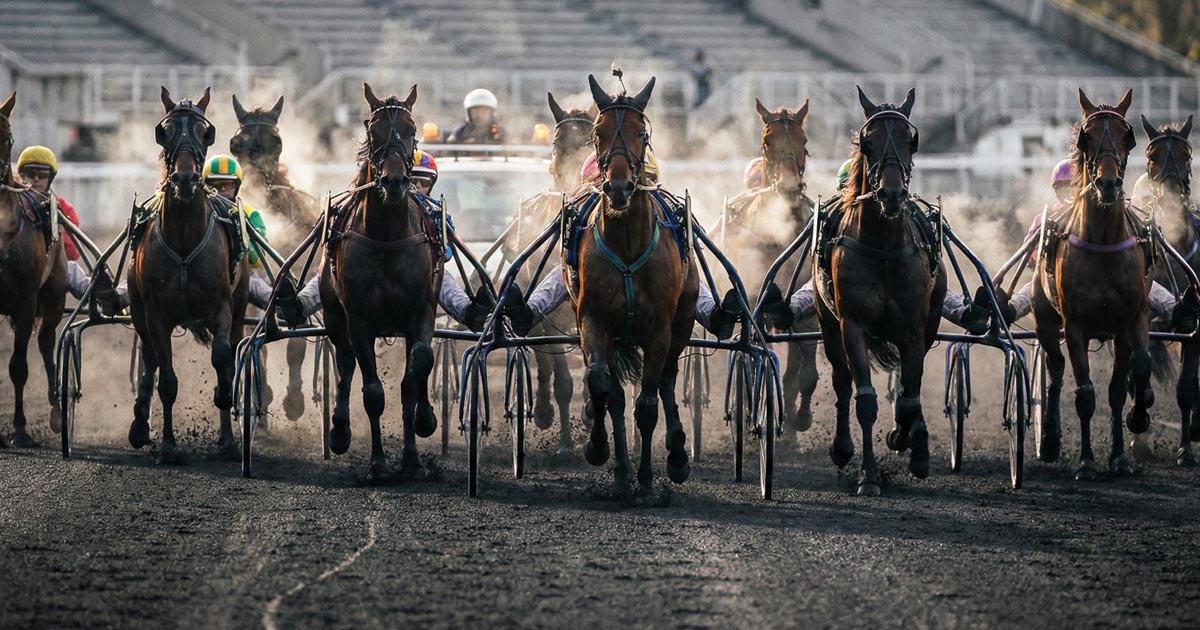 Pronostic Quinté du 1 décembre 2025