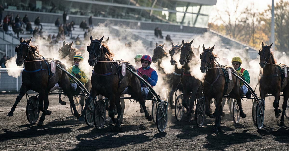 Pronostic Quinté du 4 décembre 2025