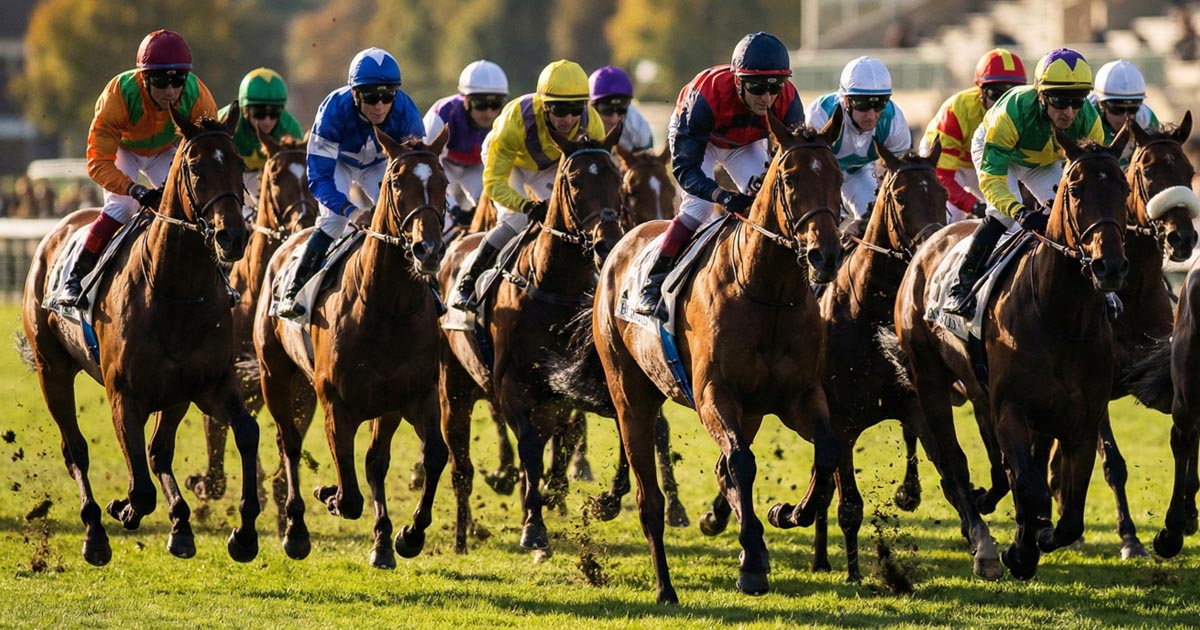 Quinté du 11 décembre 2025 : Pourquoi le favori Don't Shut Me Down est un piège monumental