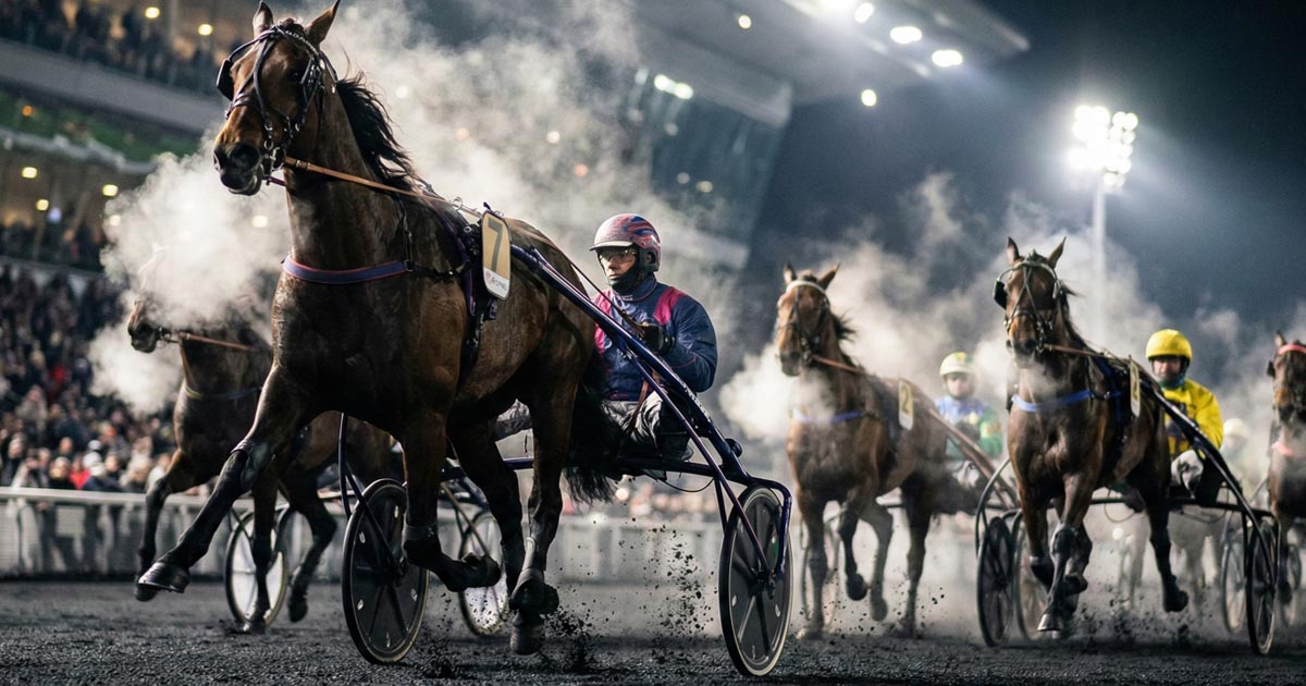 Pronostic Quinté du 12 décembre 2025