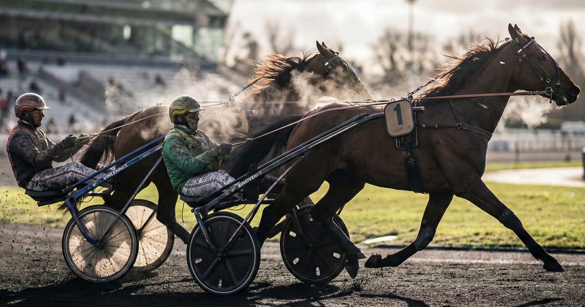 Pronostic Quinté du 13 décembre 2025