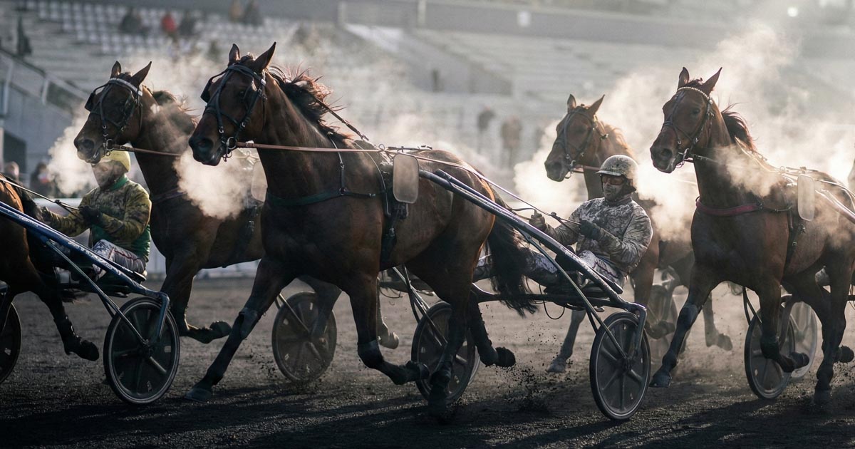 Pronostic Quinté du 17 décembre 2025