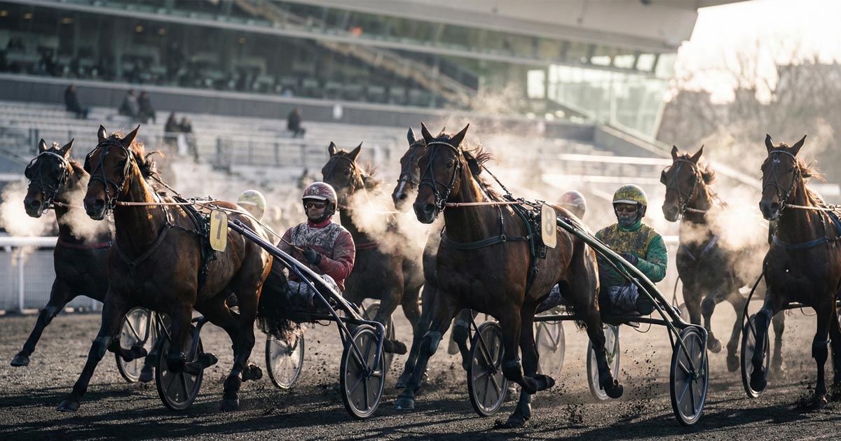 Pronostic Quinté du 21 décembre 2025