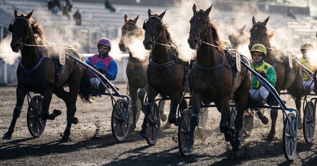 Quinté du 25 décembre 2025 : Le cadeau Keep Your Dreams (13) face au piège Koufra Iris Eyes (8)