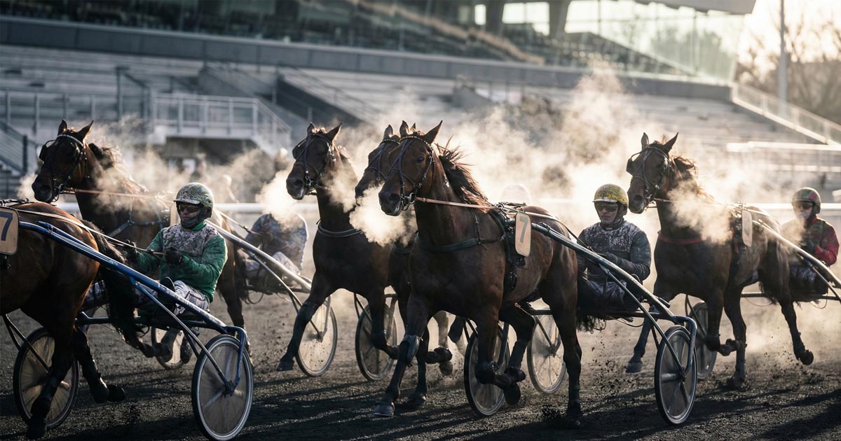 Pronostics Quinté IA : Comparatif quotidien