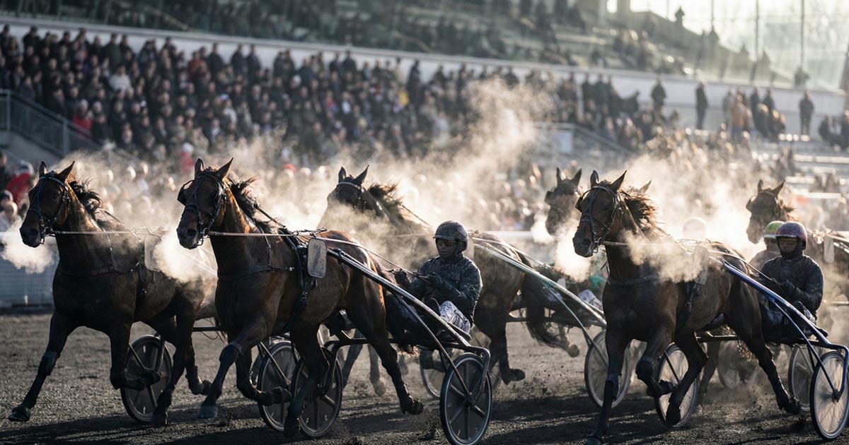 Pronostic Quinté du 1 janvier 2026