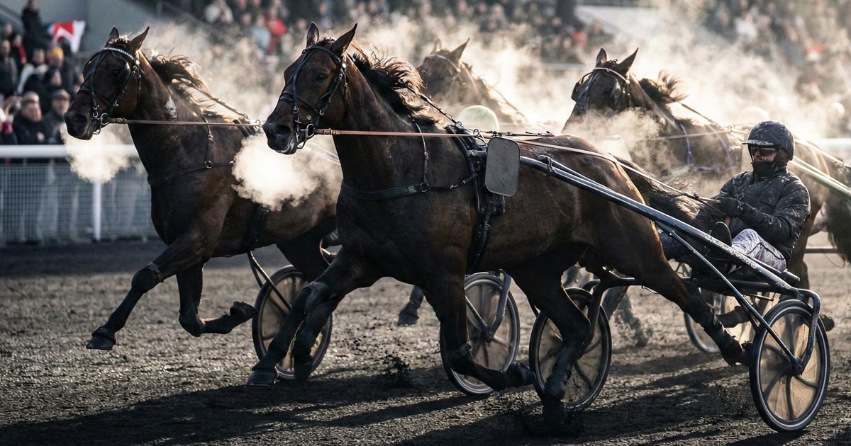 Pronostics Quinté IA : Comparatif quotidien