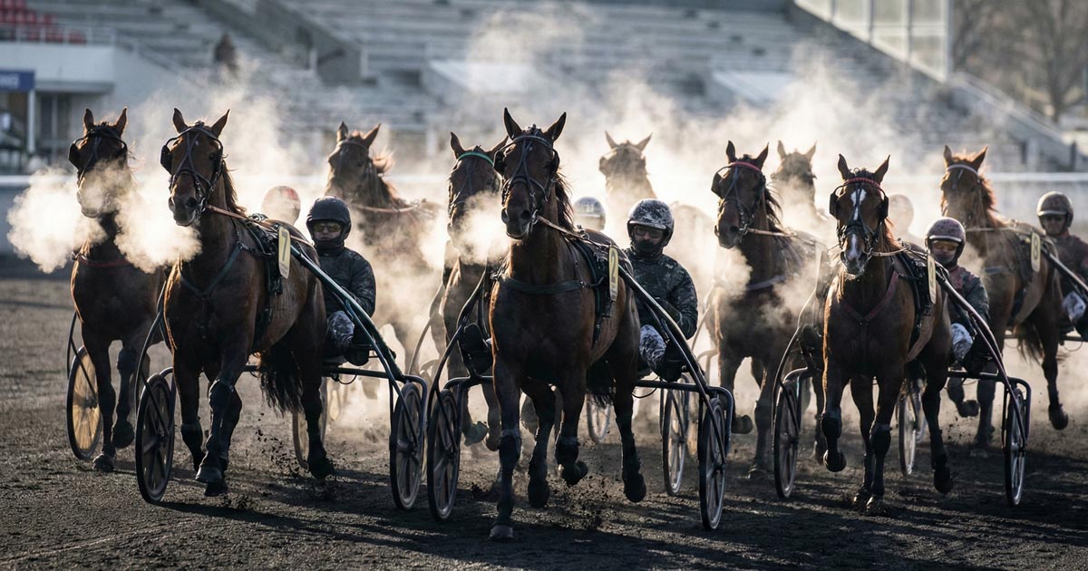 Pronostic Quinté du 4 janvier 2026