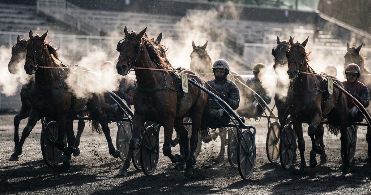 Quinté du 10 janvier 2026 : Le duel Jingle du Pont / Hurricane Carter va faire des étincelles