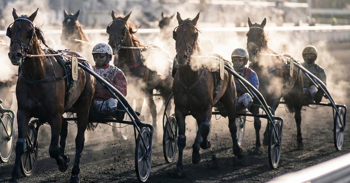 Pronostic Quinté du 22 janvier 2026