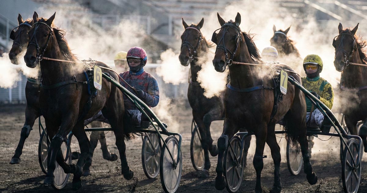 Pronostic Quinté du 3 février 2026