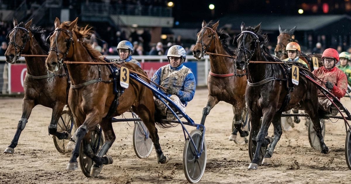 Pronostic Quinté du 13 mars 2026