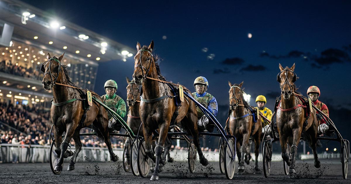 Pronostic Quinté du 3 avril 2026