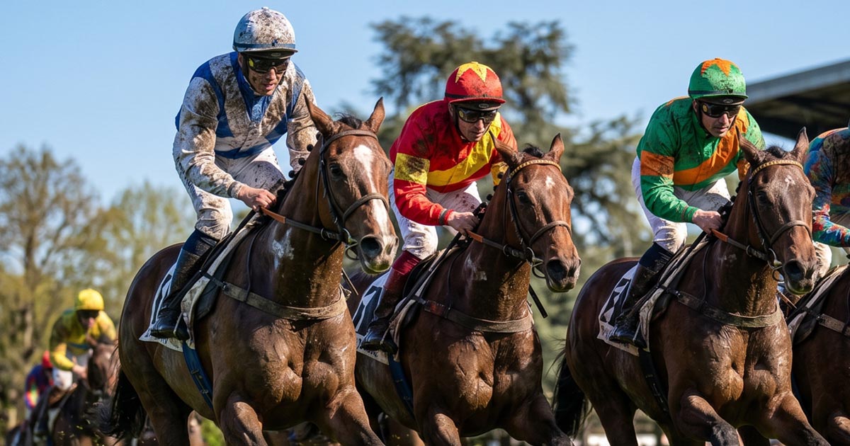 Pronostics Quinté IA : Comparatif quotidien