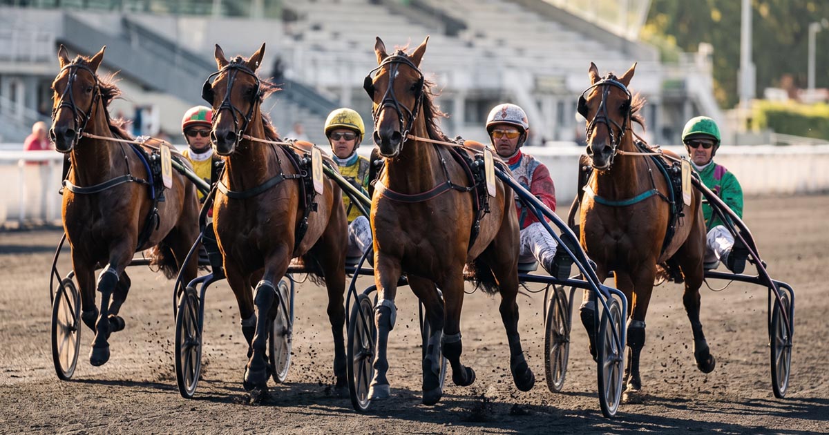 PRIX DE MEHUN SUR YEVRE