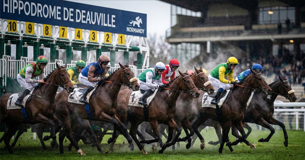 Quinté du lundi 19 octobre 2026 : Zeloro et Tiego the First, le duel de l’écurie Brandt